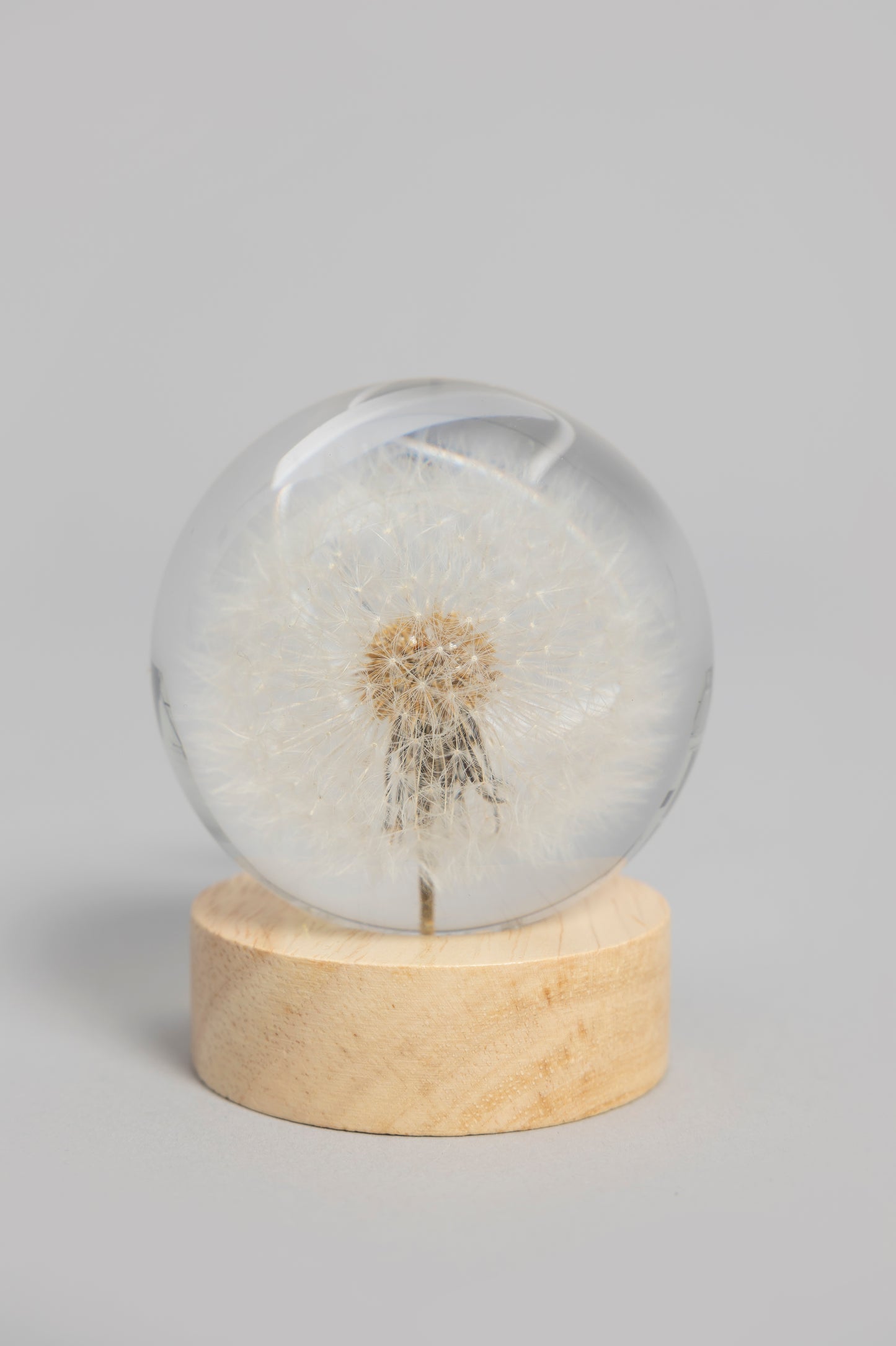 Handmade Dandelion Table LED Lamp