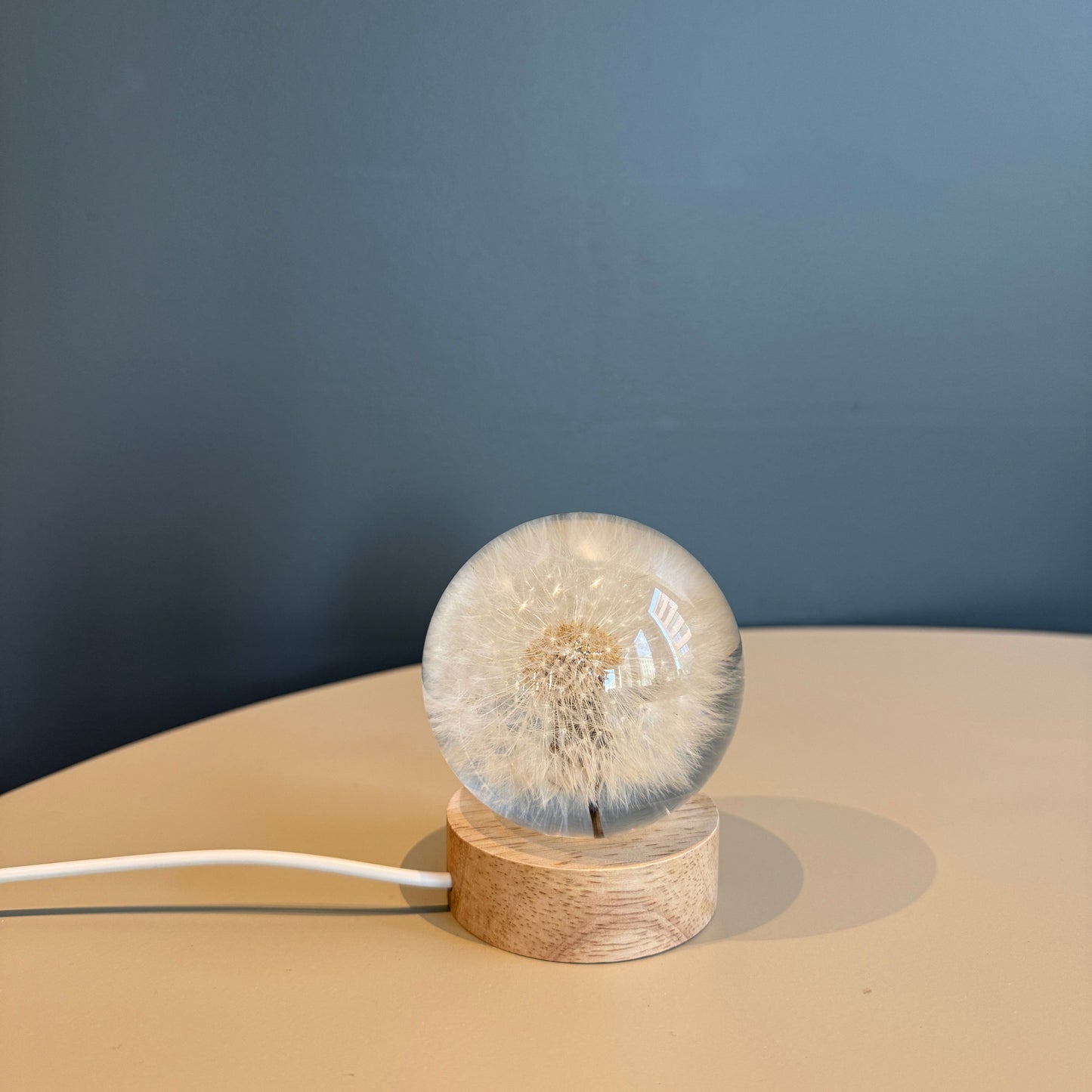 dandelion lamp standing on the table