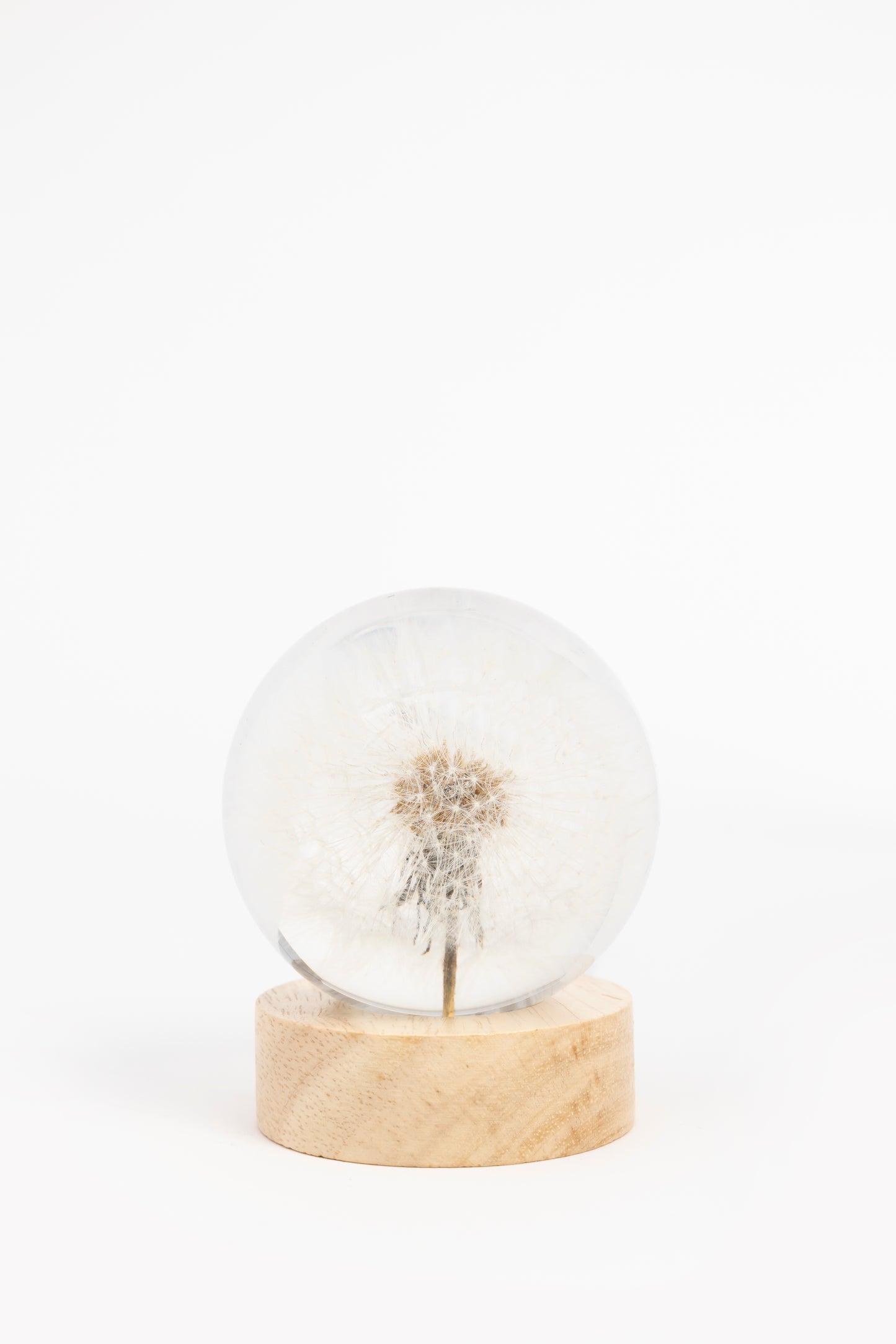 Handmade Dandelion Table LED Lamp