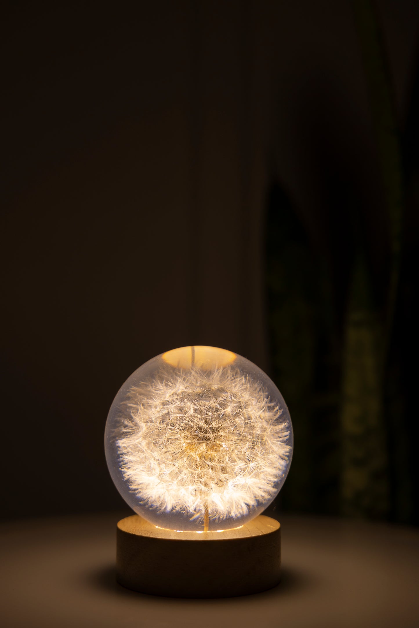 handmade led lamp with a natural dandelion inside the glass globe with a wooden base