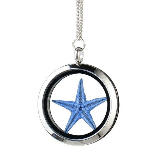 Healing Starfish Amulet – Blue Starfish Under Glass