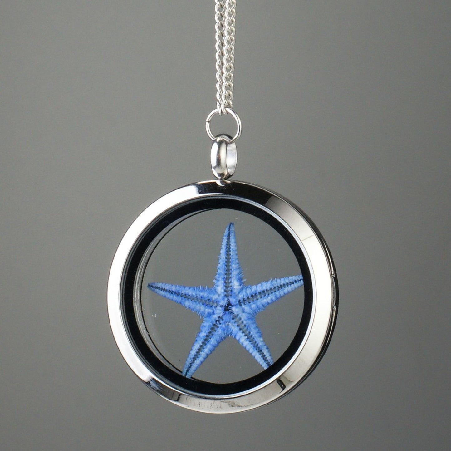 Healing Starfish Amulet – Blue Starfish Under Glass