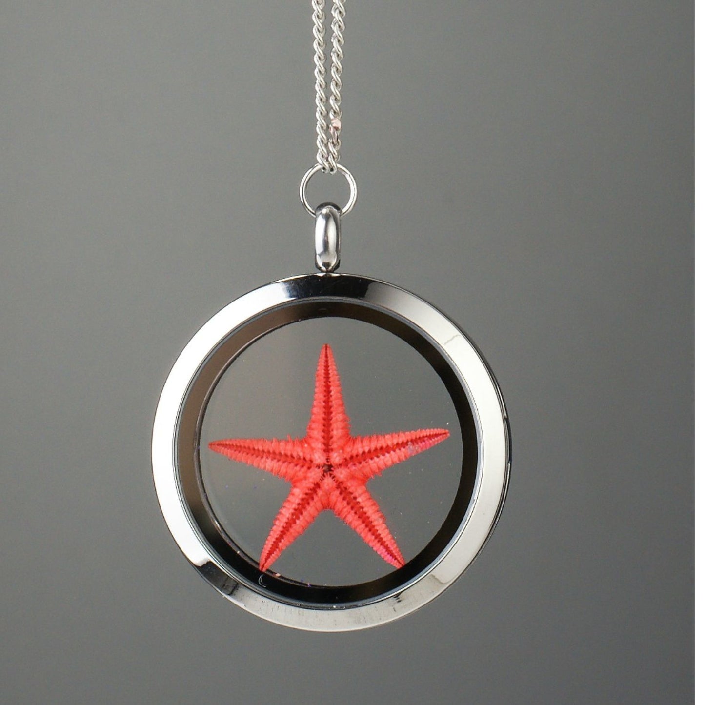 Healing Starfish Amulet – Red Starfish Under Glass