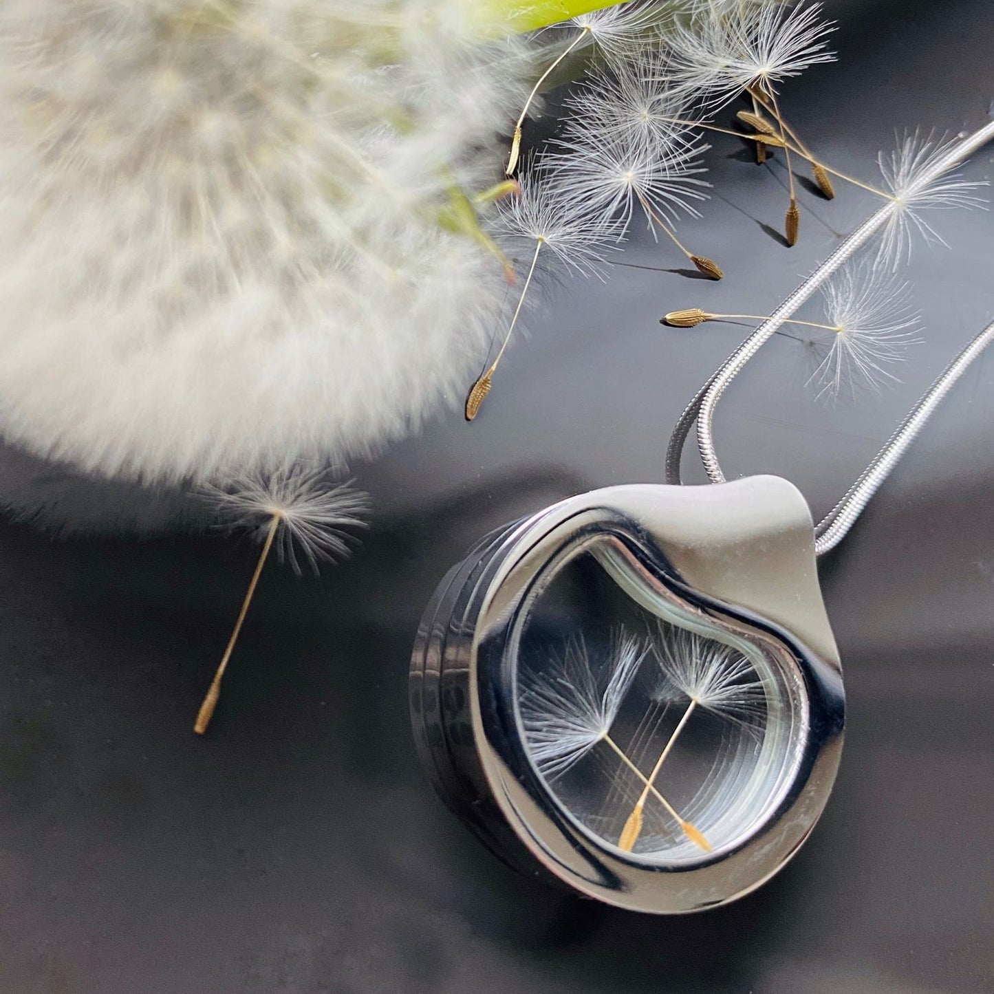 Designer Necklace With Natural Dandelion Seeds