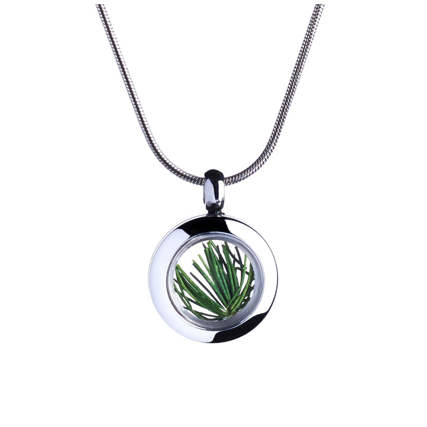 stunning tiny handmade necklace with natural pine needles under the glass in silver color with snake chain