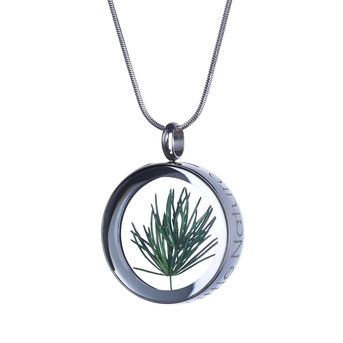 Handmade magnified pine needles necklace featuring real pine needles under a glass lens, symbolizing vitality, optimism, and timeless spirit. Nature-inspired jewelry piece