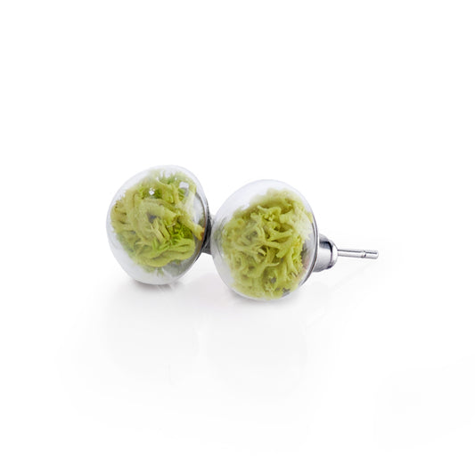 Stud Earrings With Neon Moss