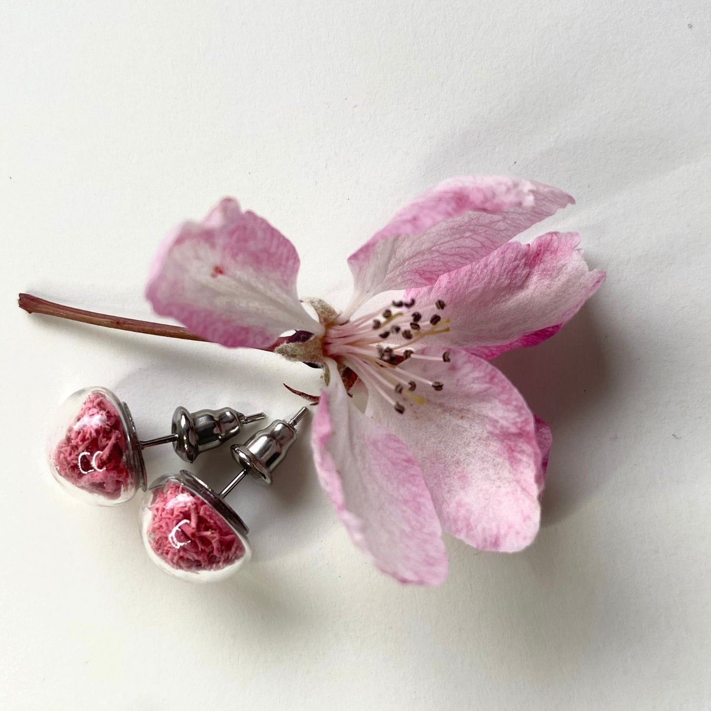 Stud Earrings With Pink Moss